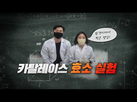 통합과학 카탈레이스 효소 실험영상