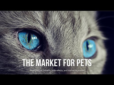 Wideo: 18 Koty i psy, które są już nad tym teraz