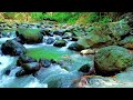 Flowing River White Noise 🌊 Fall Asleep Fast with Relaxing Nature Audio