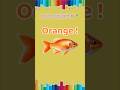 Colour learning video |Orange| 🧡 colour name 🎨🖌️