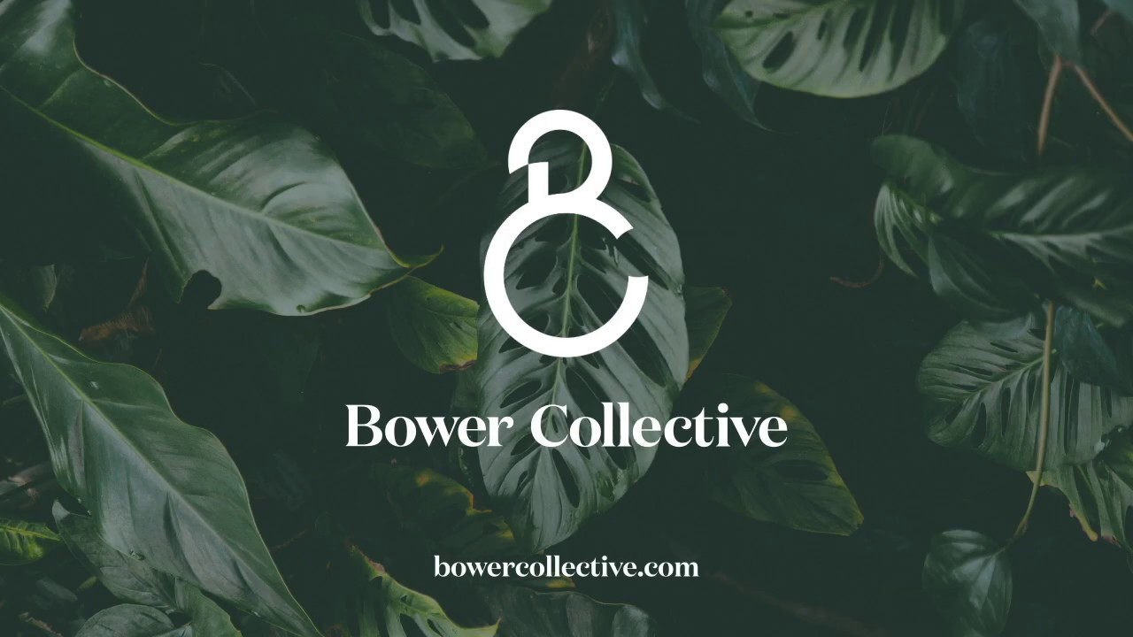 Bower Collective: Manage your account portal video tutorial