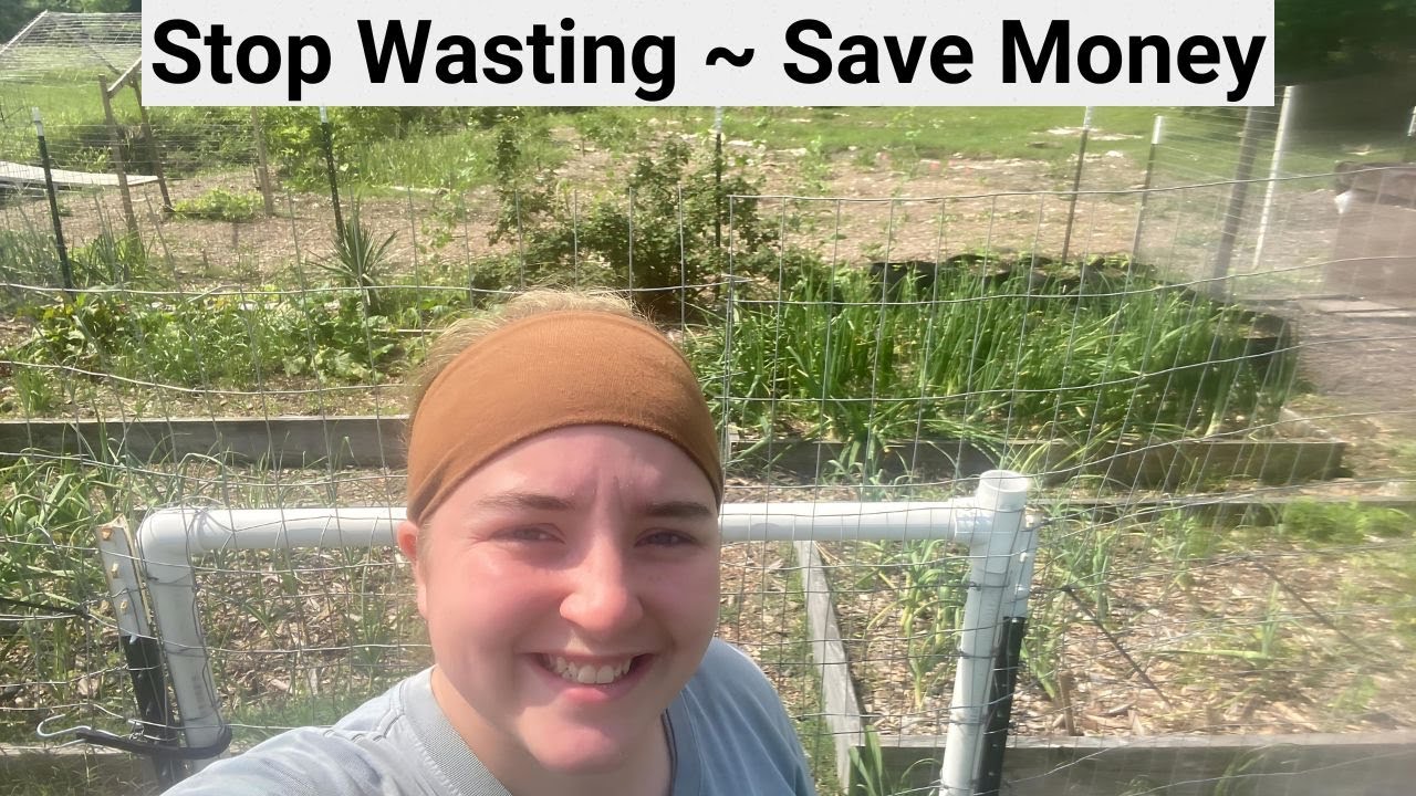 11 ZERO WASTE Gardening Tips On A Budget - YouTube
