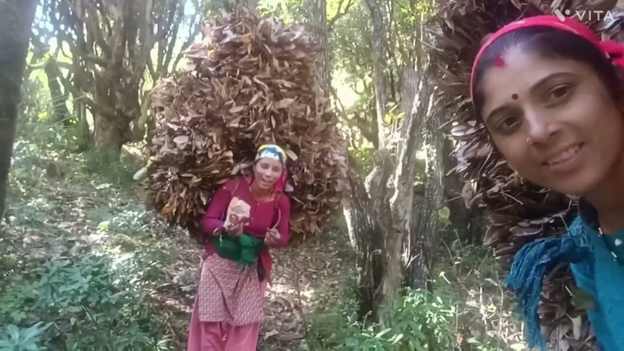 पहाड़ी lif 