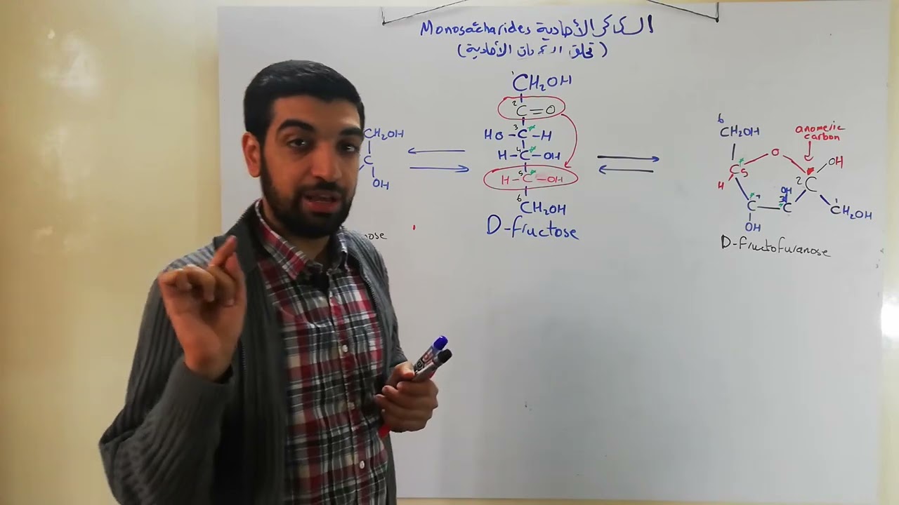 تحلق السكريات الكيتونية السداسية و الألدهيدية