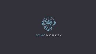 SyncMonkey Demo
