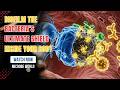 Biofilm The Bacteria’s Ultimate Shield Inside Your Body Volume 2
