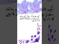 Urdu Moral Stories, Success Secret Story, Heart Touching Urdu Story, Canva Shorts Video, Urdu Status