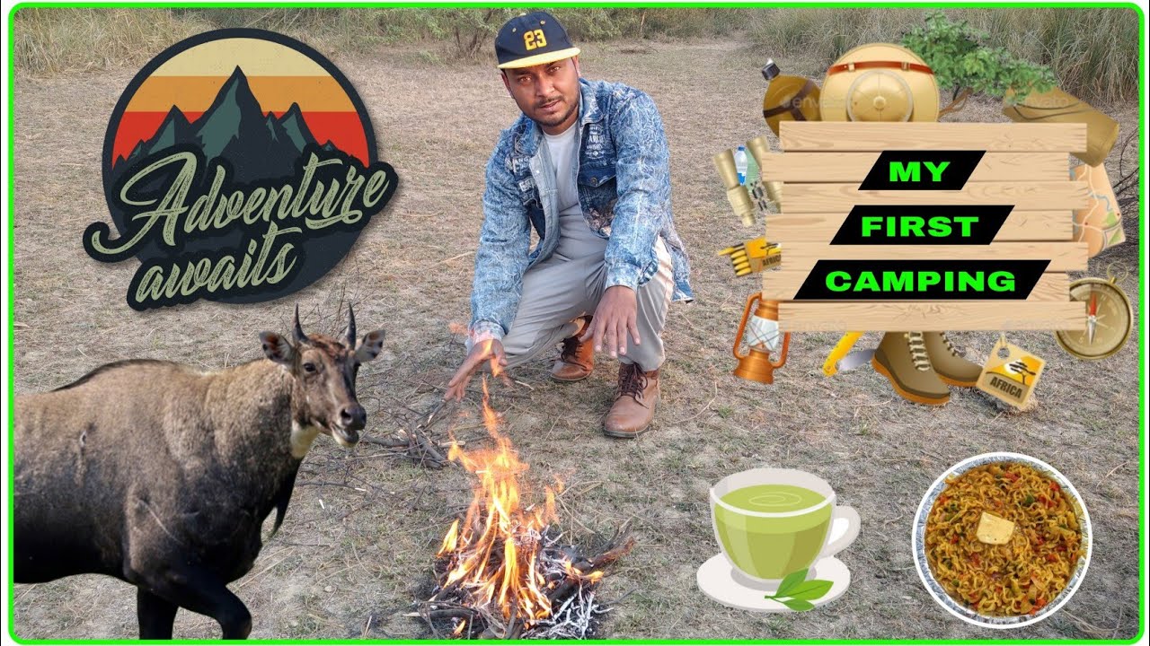 My First Camping 🏕 || Nature and Wildlife Explorer 🏞 || Nilgai in Wild Forest || Solo Nature Camping