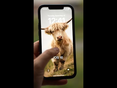 Find The Best Ios 16 Wallpapers!