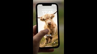 بهترین تصاویر پس زمینه iOS 16 را پیدا کنید! 👀📲