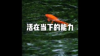 201805 活在当下的能力25549