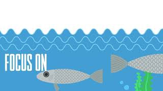 An Infographic Video onHow to Make a Good Infographic