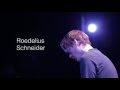 ROEDELIUS SCHNEIDER - Electropark Exchanges