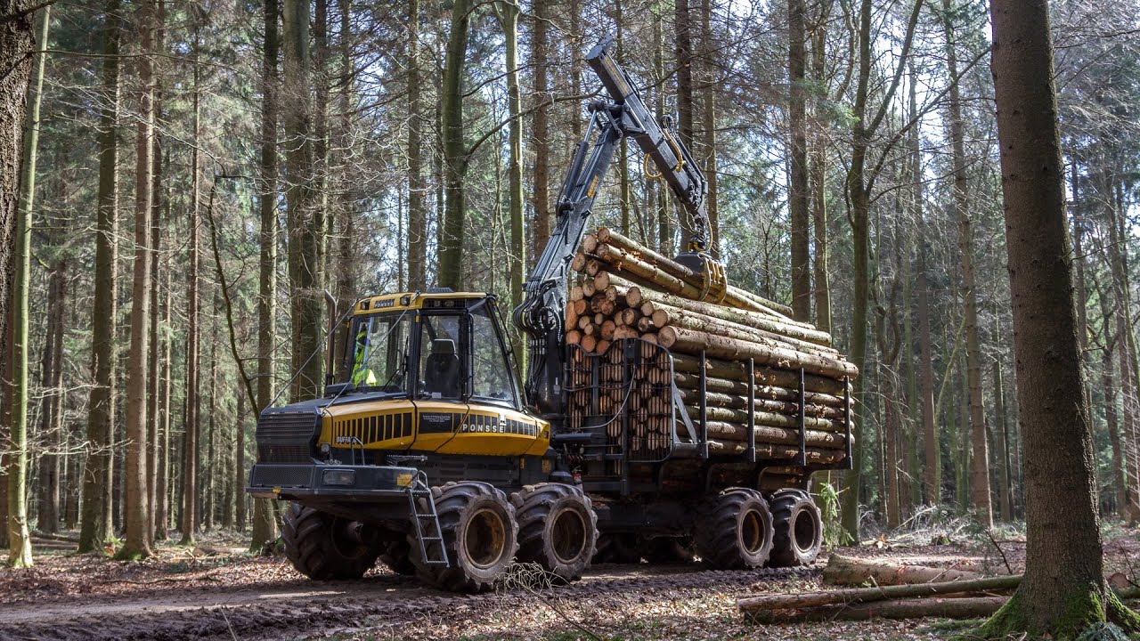 Ponsse Buffalo | Loading & Unloading [1] ᴴᴰ