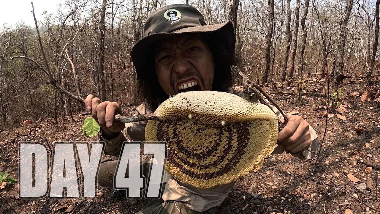 เอาชีวิตรอด DAY 47 ของหวานจากป่าเต็งรัง.. [ โจโฉ ]