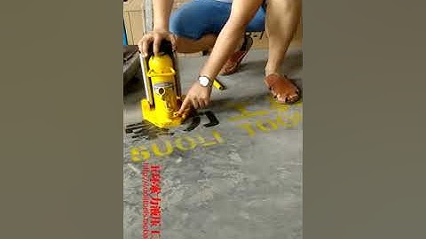 Con rùa chuyển hàng