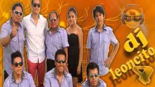 Video thumbnail of "Te amare en silencio   Grupo america Primicia 2014"