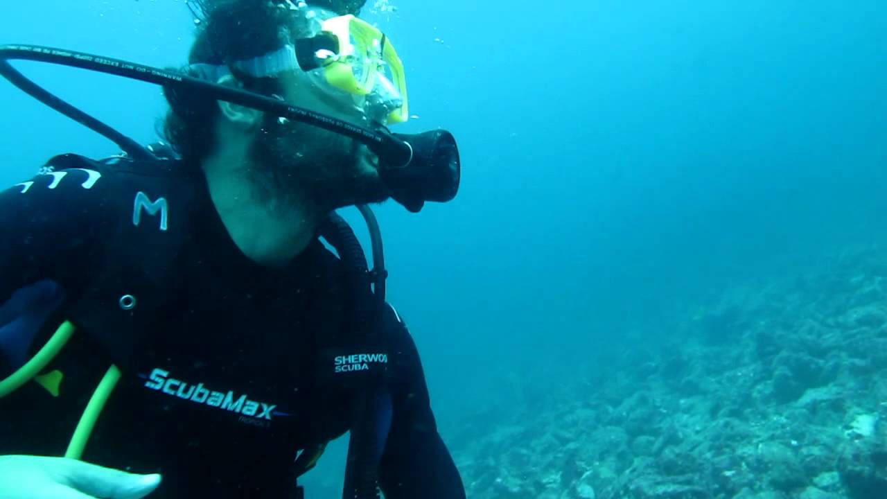 Diving Costa Rica Summer Salt Dive Center diving with Bull sharks 