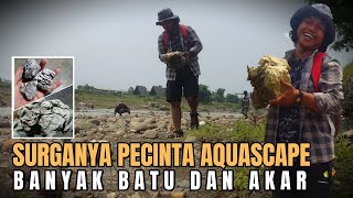 LOOKING FOR ROCKS AND ROOTS FOR AQUASCAPE ON THE RIVERBANK, TURNS OUT THERE ARE MANY UNIQUE ROCKS