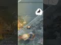 Impact of Impacts