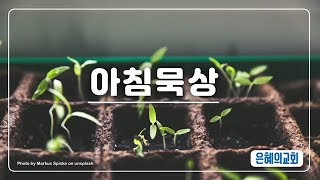 190620 아침묵상  출2016 은혜의교회 강북구 번…