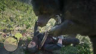 Red Dead Redemption 2 - Grin and Bear it achievement
