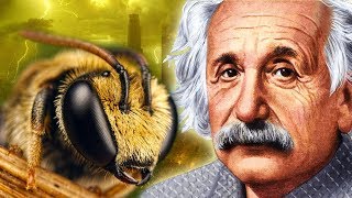 Что если пчелы исчезнут? Предсказания Ванги и Эйнштейна