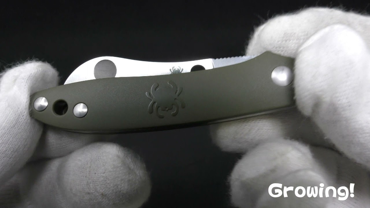 ナイフショップ グローイング！□Spyderco【スパイダルコ】□ ローディ