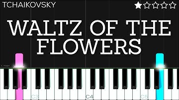 Tchaikovsky - Waltz of the Flowers | EASY Piano Tutorial