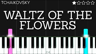 Tchaikovsky - Waltz of the Flowers | EASY Piano Tutorial chords