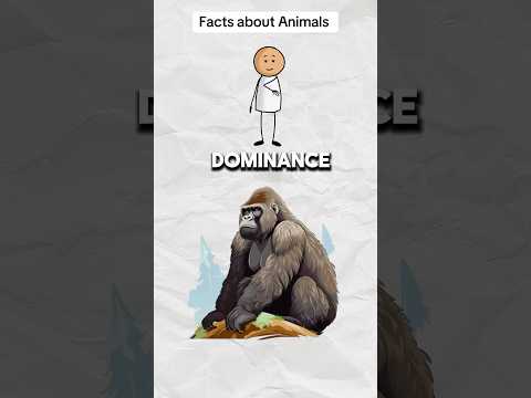 Facts about animals