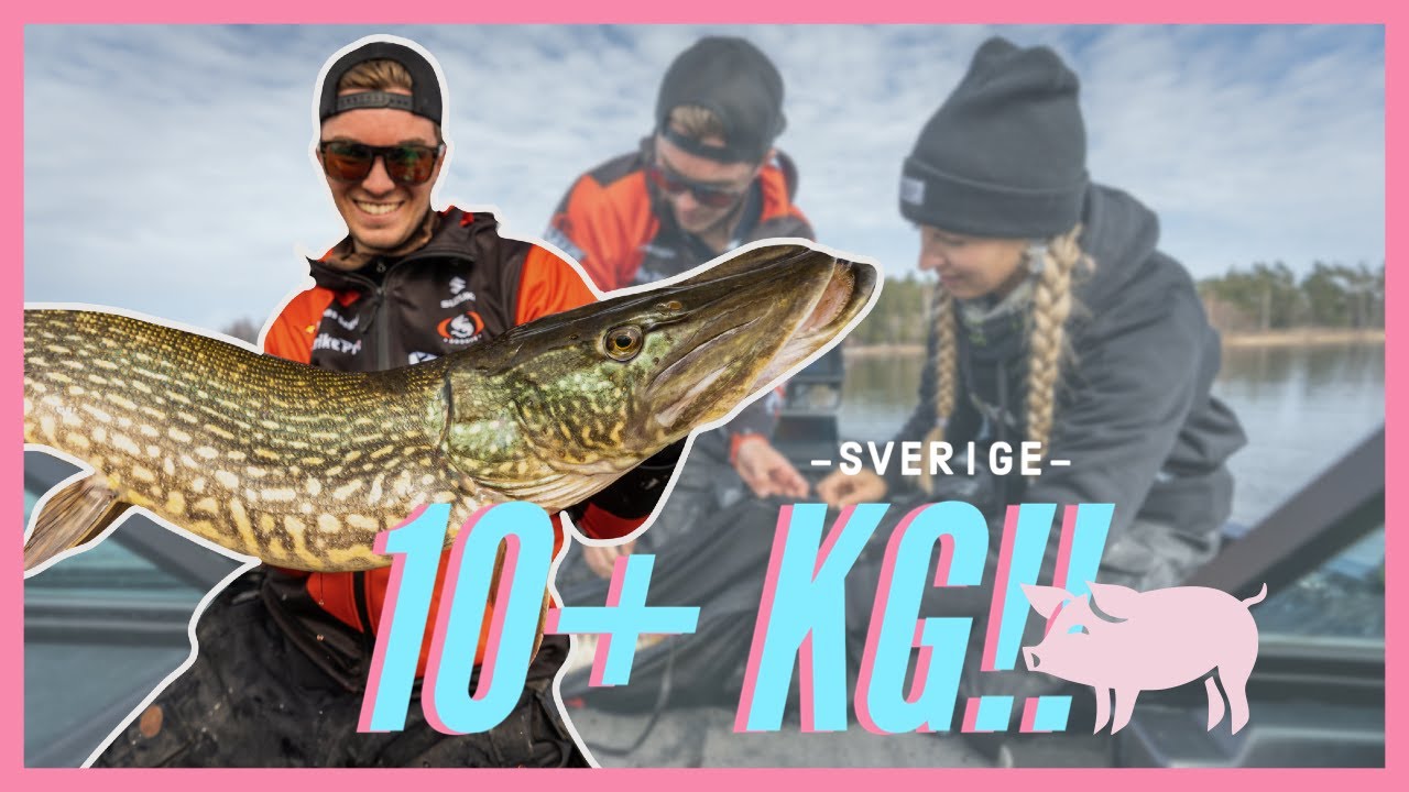 Vårfiske på Vänern med Andreas Seger - 10kg gris!!