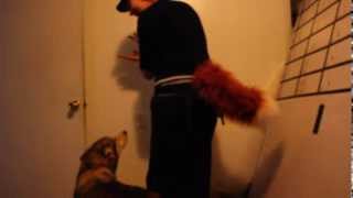 Puppet Tail Prototype v 1.0