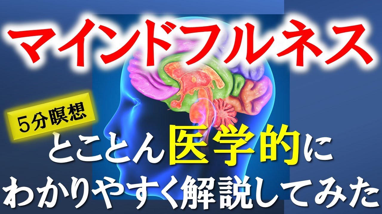 【5分瞑想】マインドフルネスの効果をとことん医学的に解説してみた／精神看護専門看護師が解説