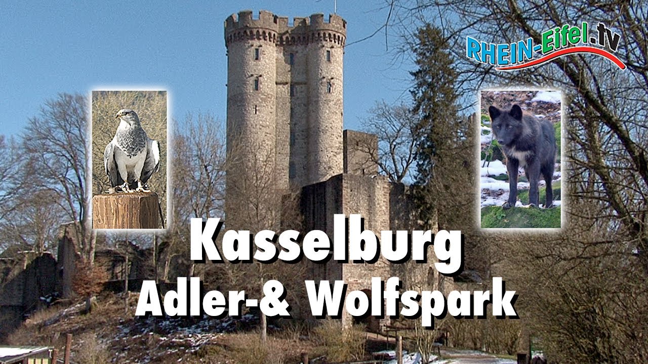 Kasselburg | Adler- & Wolfspark | Rhein-Eifel.TV - YouTube