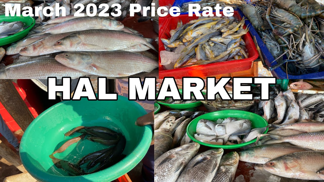 Unbelievable Prices at Bangalore's Famous Fish Market! [HINDI VLOG