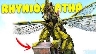 HOW TO TAME A RHYNIOGNATHA AND ALL ITS ABILITIES  ARK