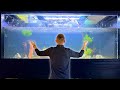 Aquascaping the 500 gallon plywood aquarium stocking revealed