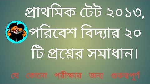 Environment Studies of Primary TET 2012-2013