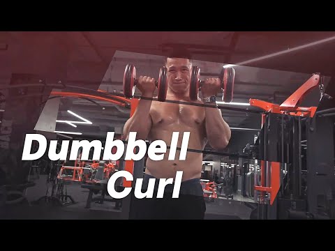 Dumbbell Curl  ท่ายกดัมเบล สร้างกล้ามหน้าแขน (เห็นผลจริง ทำตามได้เลย)