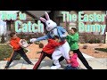 How to Catch The Easter Bunny