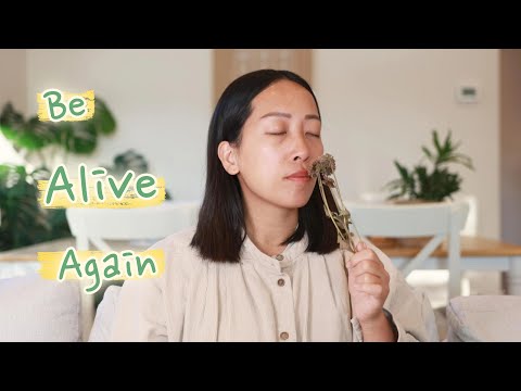 You Are Alive, Smell the Moment… | Guided Mindfulness Meditation on Scent