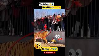 Mashallah  Respect allahmasmediainfo shortsstatusshortrespect