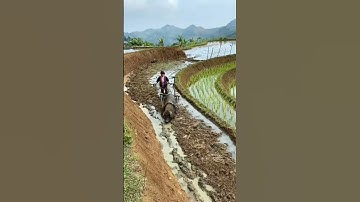 This Sustainable Farm is Pure Genius! 🤯