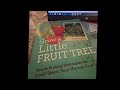 Grow a little fruit tree!