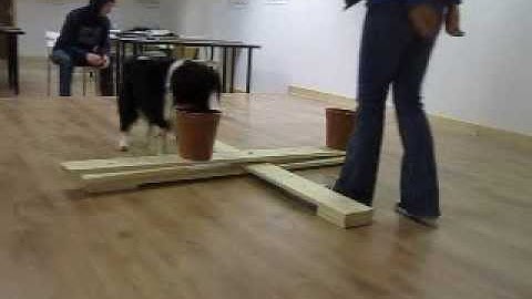 Object permanence invisible displacement video 6