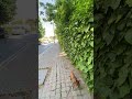 Beylikdüzü - Adakent #shorts