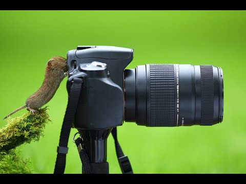 Снимаем видео на фотоаппарат Nikon D5100 kit 18-55