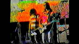 Mudhoney - 08/July/1994 Live At &quot;Pain in the Grass&quot; The Mural Amphitheater - Seattle, WA