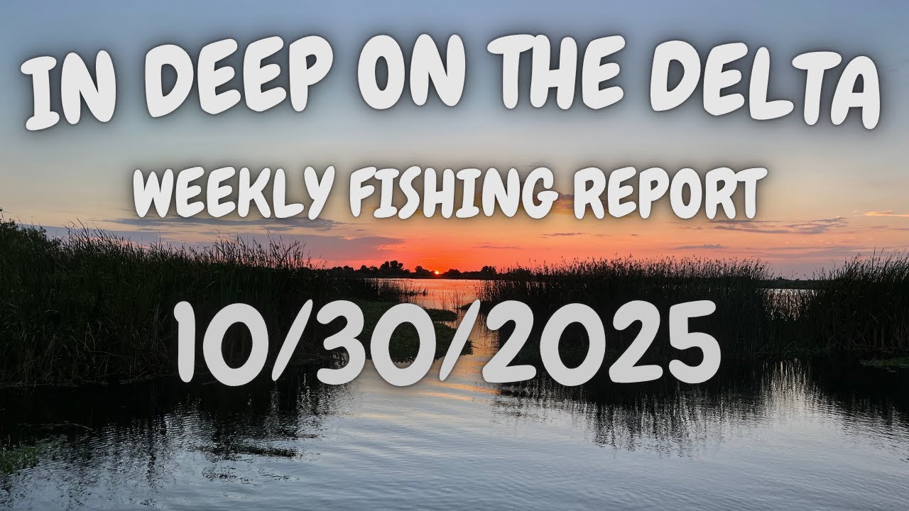 The In Deep On The Delta Weekly Fishing Report For 10/30/2025.